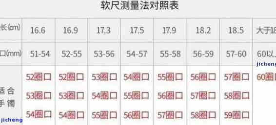 贵妃55圈口正圈：尺寸、材质、适用人群等全面解析，帮助你选购合适的手表