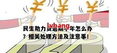 全面解决民生纾困还款问题：最新政策解读与实指南