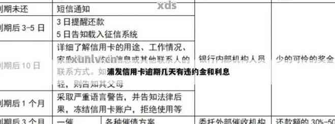 2017年浦发信用卡逾期：原因、影响和解决办法