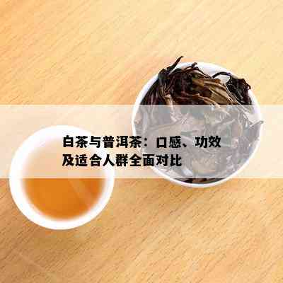 白茶与普洱茶：对比研究，揭示哪种茶叶更适合不同人群