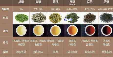 白茶与普洱茶：对比研究，揭示哪种茶叶更适合不同人群