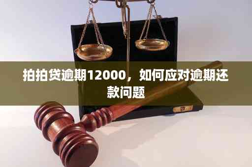 逾期还款攻略：如何选择更优还款策略，避免罚息和信用损失