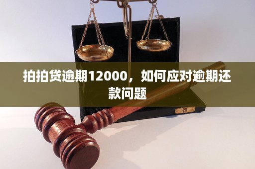 逾期还款攻略：如何选择更优还款策略，避免罚息和信用损失