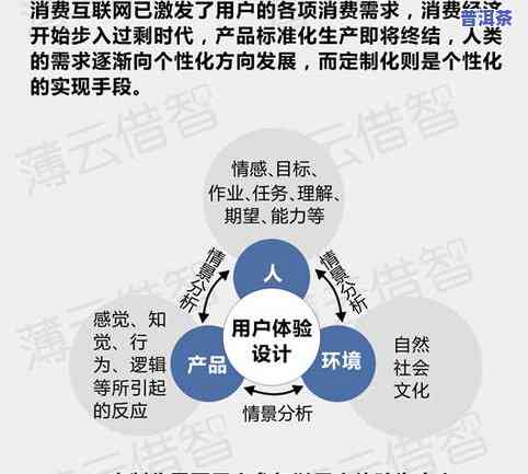 普洱茶产业的未来发展趋势、技术创新与市场前景分析