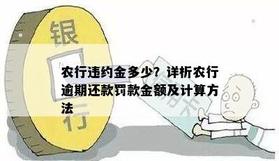 农业银行农户贷款逾期10天违约金计算方法及相关费用解析