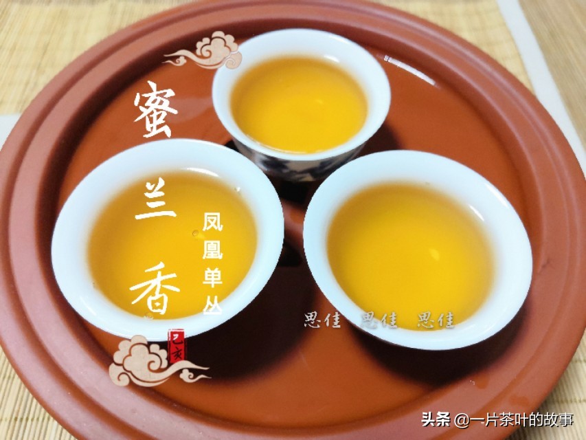 单丛茶和普洱茶的气味区别：哪个更香？