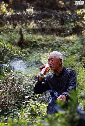 直播卖普洱茶老头是真的吗