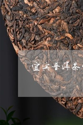 宜宾长普洱茶产地在哪里