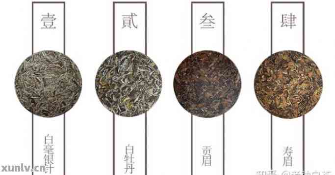 普洱茶与白茶的不同点：它们的区别是什么？