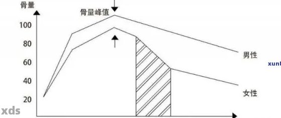 普洱茶对骨质健的影响：女性饮用过多是否会导致骨质减少？