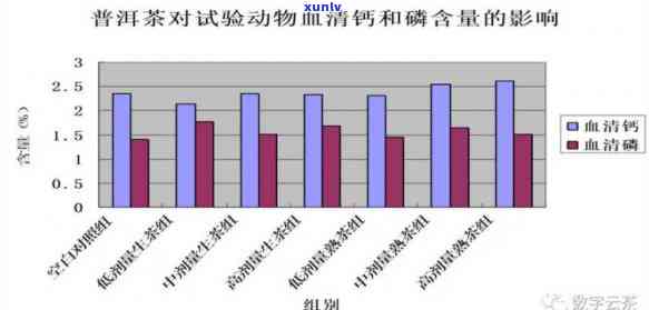 普洱茶饮用过度：对骨密度的影响及相关研究探讨