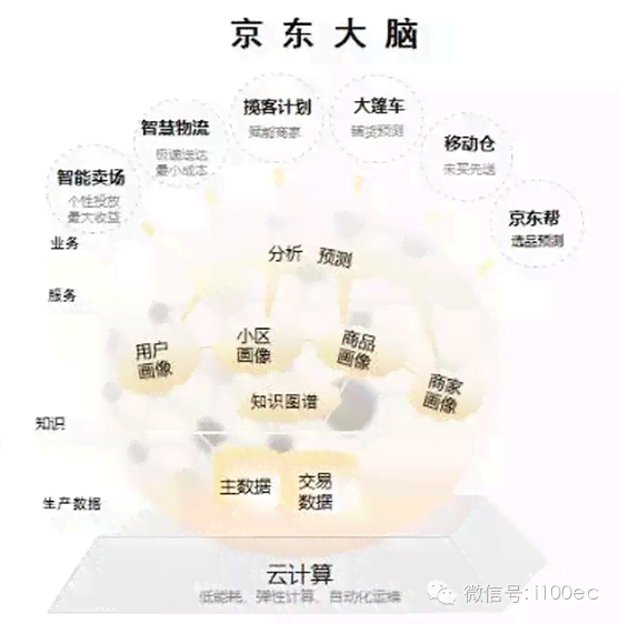 紫罗兰叶原精的全面功效解析：从抗炎到提高免疫力，一文解决用户所有疑问