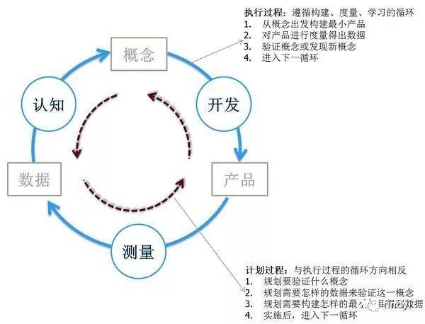 紫罗兰叶原精的全面功效解析：从抗炎到提高免疫力，一文解决用户所有疑问