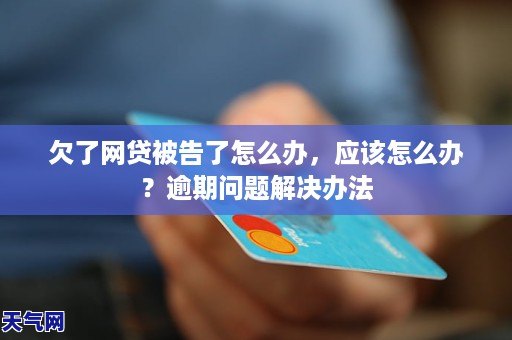 五年后网贷逾期，被指控骗贷应如何应对？详解常见疑问与解决方案