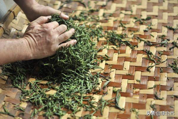 普洱茶杀青过程的重要性及其对茶叶品质的影响