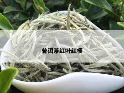 普洱茶红梗红叶的口感特征及其影响因素探讨