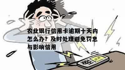 农行信用卡逾期10多天怎么办