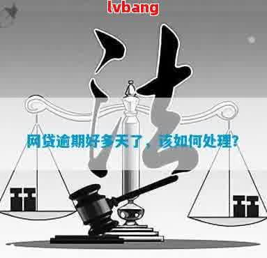 网贷用什么理由解释逾期情况？如何合理解释逾期还款？