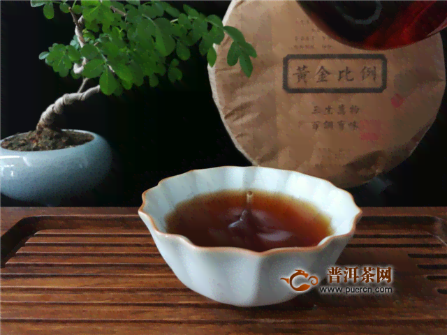 泡普洱茶一次多少克最合适？