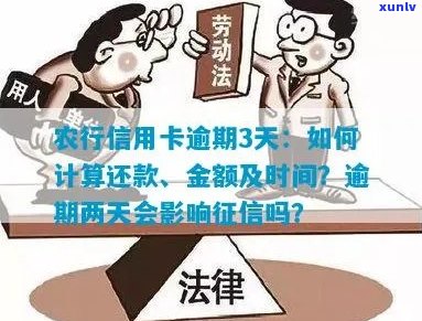 农行信用卡还款逾期一天是否会产生罚金？了解逾期还款的影响