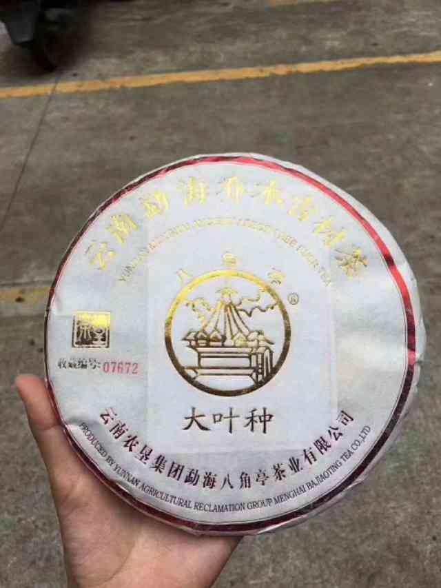 普洱茶冲泡的极指南：了解器具与泡茶方法