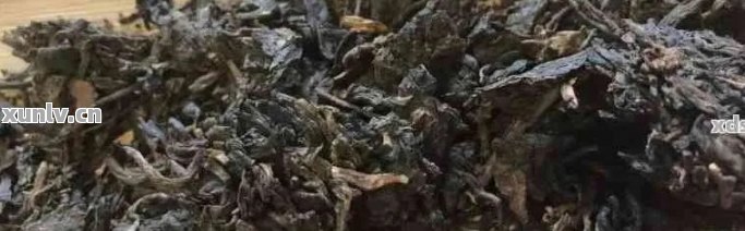 普洱茶如何辨别霉变和变质的茶叶：掌握这几个关键点