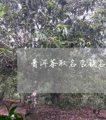 卖普洱茶的公司有哪些名字呢？英文，，取名建议