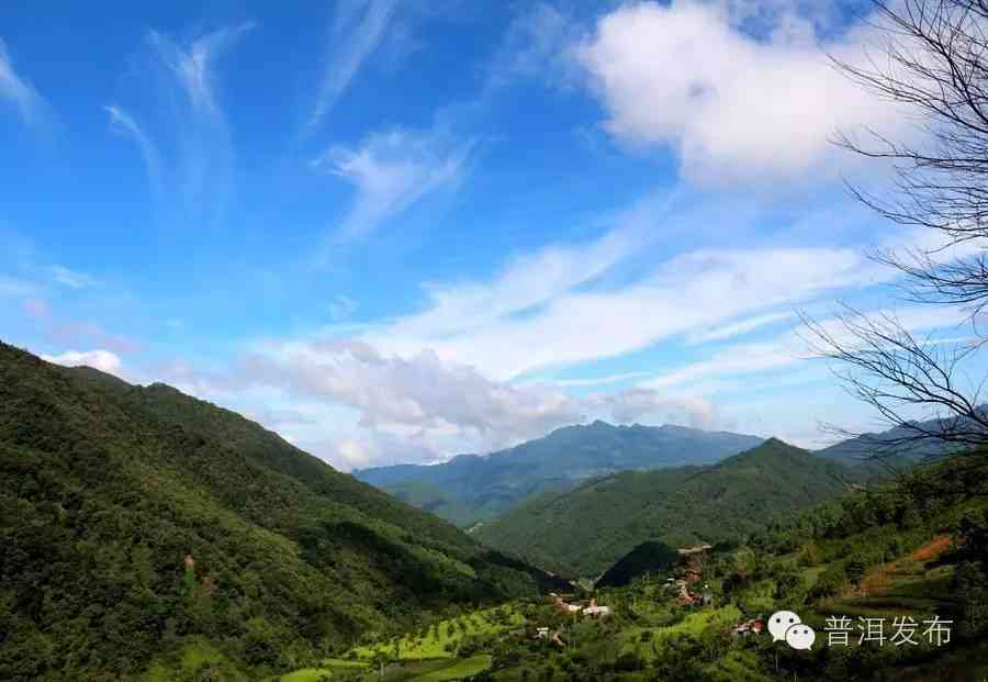 喝普洱茶可以去湿气吗？女人的选择