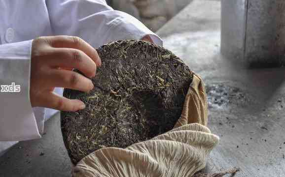 普洱茶发酵后多久可以压饼吃-普洱茶发酵后多久可以压饼吃了