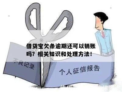 借贷宝销条子办法：详细操作与注意事项