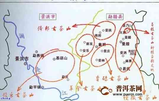 寻找普洱茶叶场的完整指南：位置、交易方式及注意事项