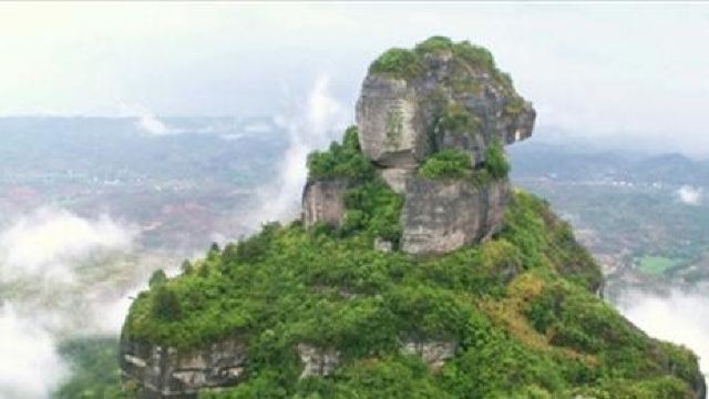 普洱茶名山盘点：哪座山头最知名？