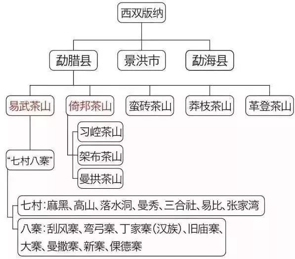 普洱茶各山头茶品特性全面解析：了解产地与风味，挑选适合自己的好茶