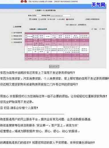 新逾期未报税的零申报如何处理？错过报税期限的策略与建议