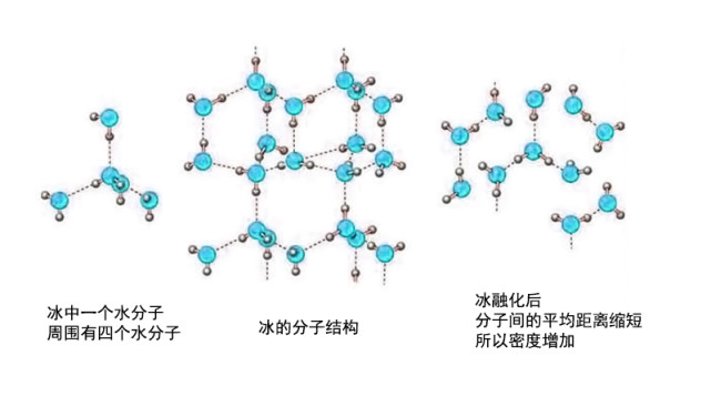 冰结构蛋白的使用方法和与抗冻蛋白的区别