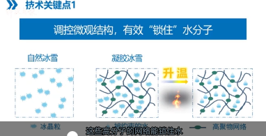 冰结构蛋白的使用方法和与抗冻蛋白的区别