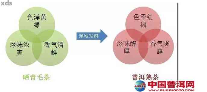 普洱茶对痘痘的影响：科学研究、成分分析及使用方法全面解析