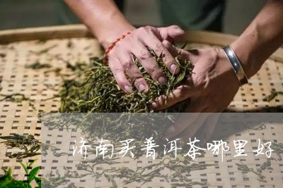 济南可靠普洱茶招商的地方汇总