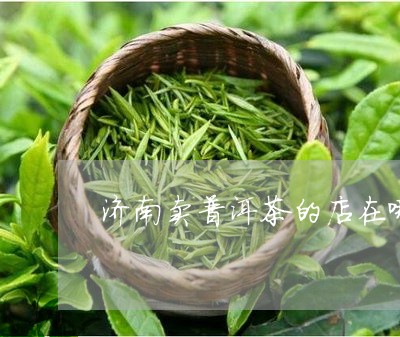 济南可靠普洱茶招商的地方汇总