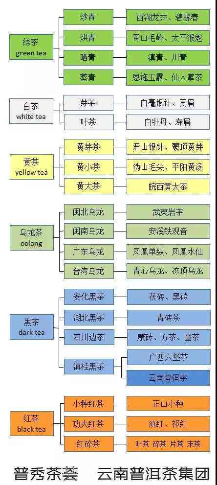 普洱茶历违背常理的原因分析：全面探讨其背后的奥秘