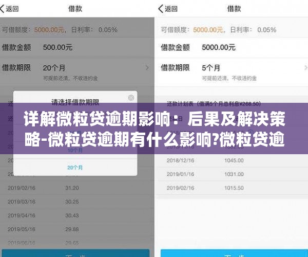 微粒贷逾期：几天的影响及其应对策略