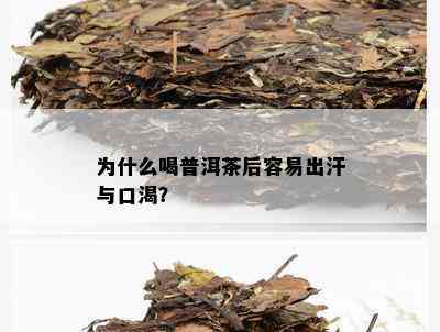 日炎炎，出汗如雨，普洱茶能帮助解渴吗？