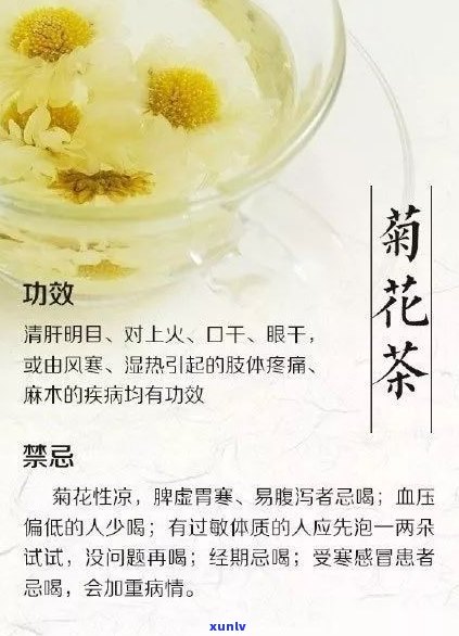 新小菊普洱茶的全面解读：其独特的功效、药理作用以及健益处