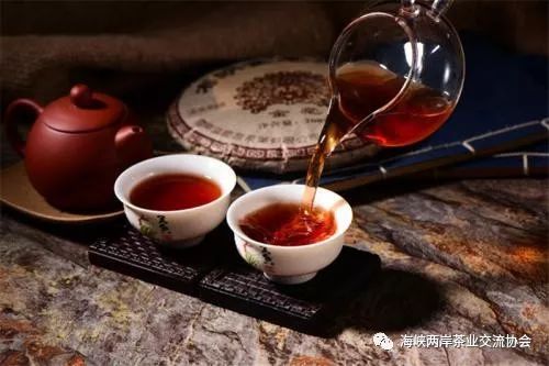 普洱茶的浅色之谜：品种、发酵与口感的关系