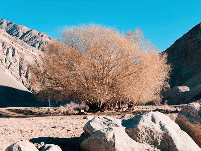 塔莎古道在哪-塔莎古道在哪里