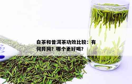 白茶与普洱茶：消炎功效对比研究