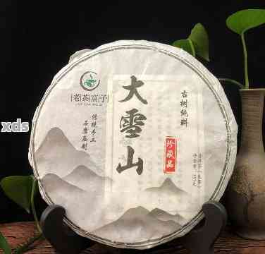 大雪山普洱茶泡茶度多少