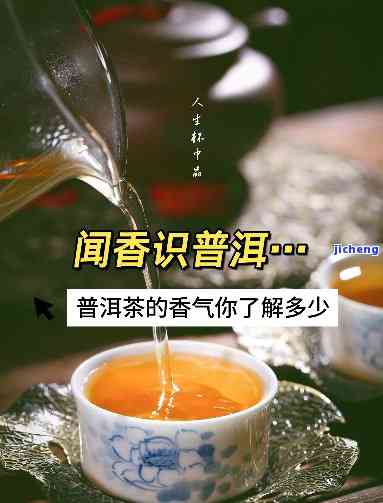 糯香普洱茶有点苦味正常吗