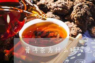 兴益茶厂普洱茶源头在哪？价格多少？近期新品推荐！