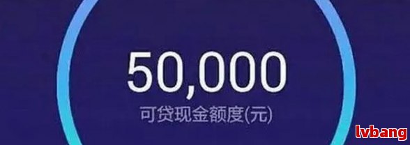 网商贷原来100万额度逾期一天降到5万